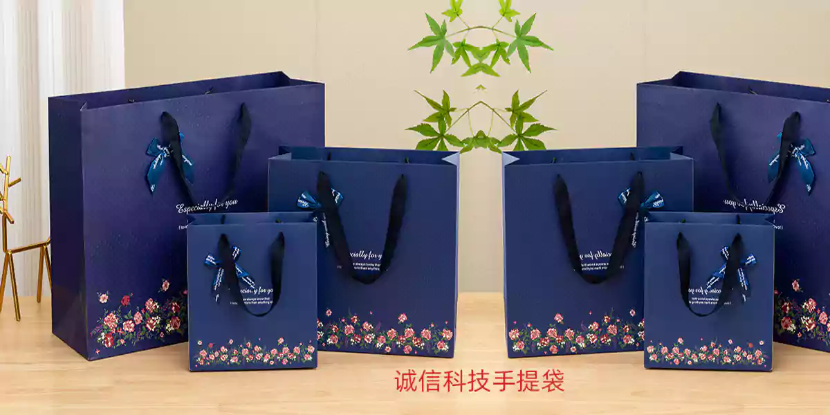 礼赠非凡的蓝韵高雅蝴蝶结商务手提袋